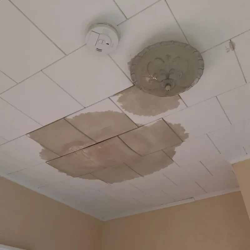 Ceiling Water Damage Repair in Hillsborough County, NH