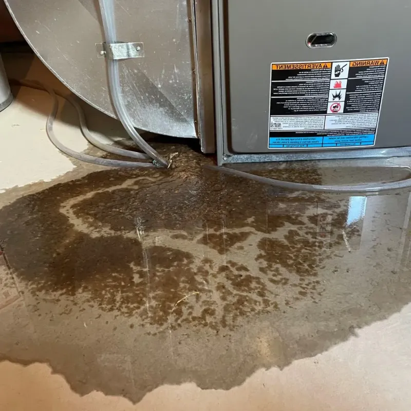 Pipe Burst and Leak Restoration in Hillsborough County, NH