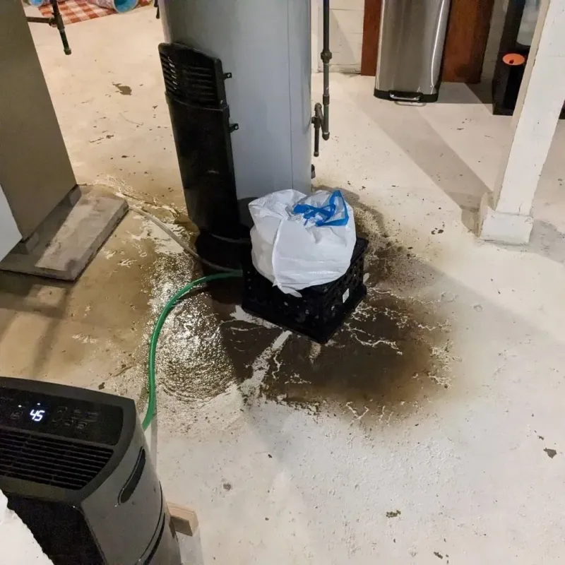 Sewage Backup Cleanup Service in Hillsborough County, NH